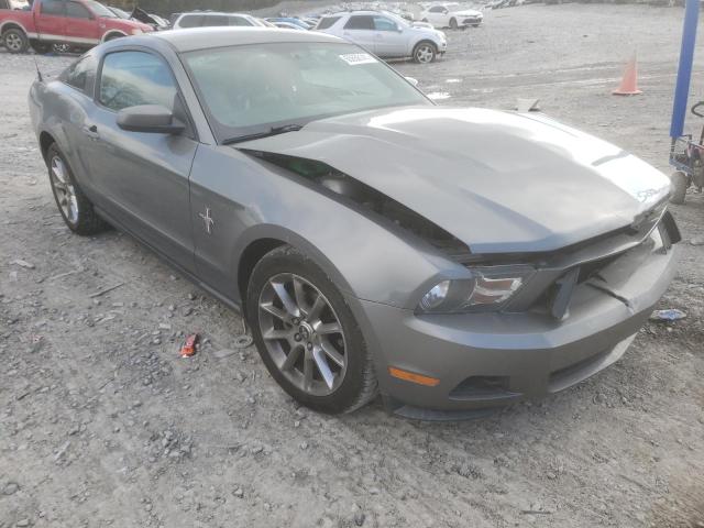 FORD MUSTANG 2010 1zvbp8an2a5154384