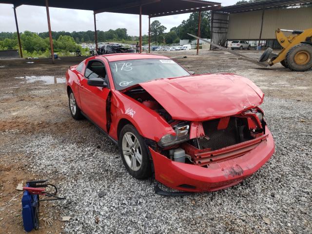 FORD MUSTANG 2010 1zvbp8an2a5155681