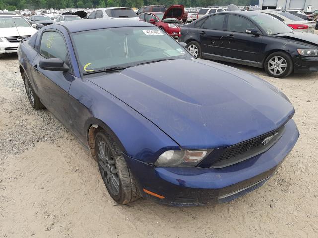 FORD MUSTANG 2010 1zvbp8an2a5156183