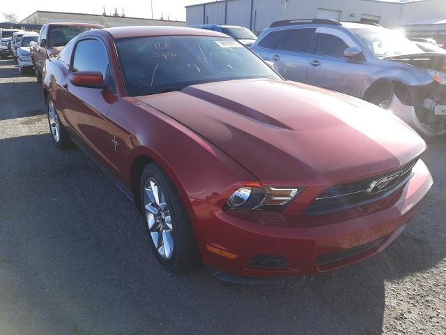 FORD MUSTANG 2010 1zvbp8an2a5163313