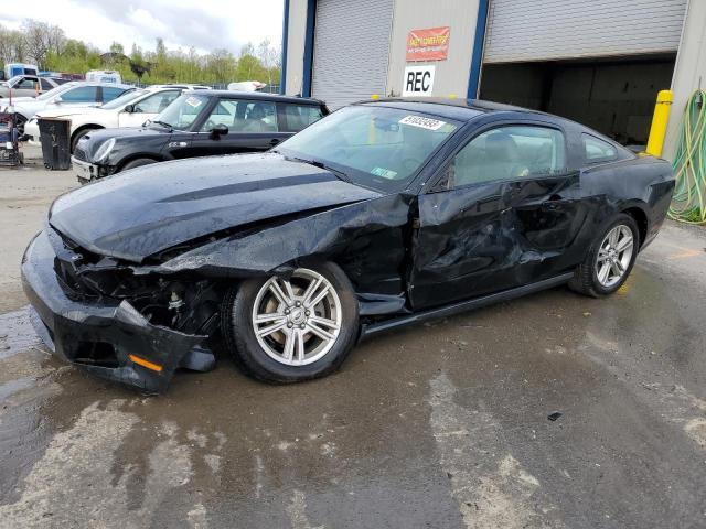 FORD MUSTANG 2010 1zvbp8an2a5164140