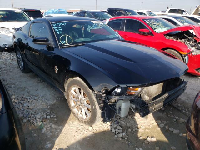 FORD MUSTANG 2010 1zvbp8an2a5164431