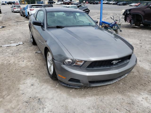 FORD MUSTANG 2010 1zvbp8an2a5165157