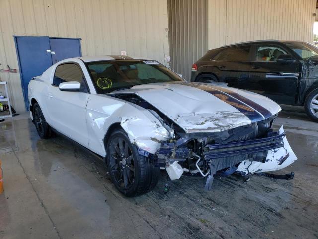 FORD MUSTANG 2010 1zvbp8an2a5165952