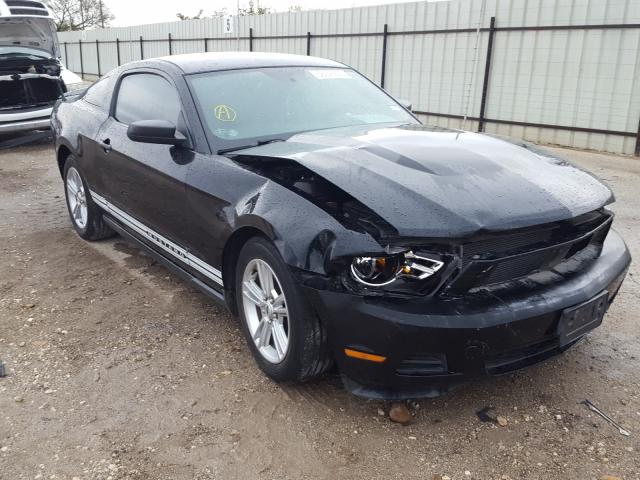 FORD MUSTANG 2010 1zvbp8an2a5166129