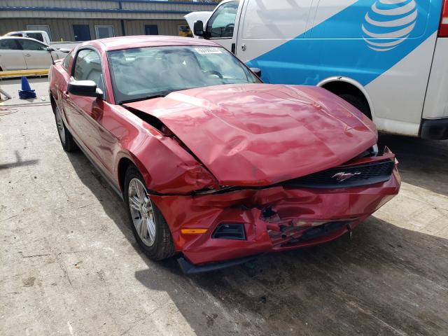 FORD MUSTANG 2010 1zvbp8an2a5166244