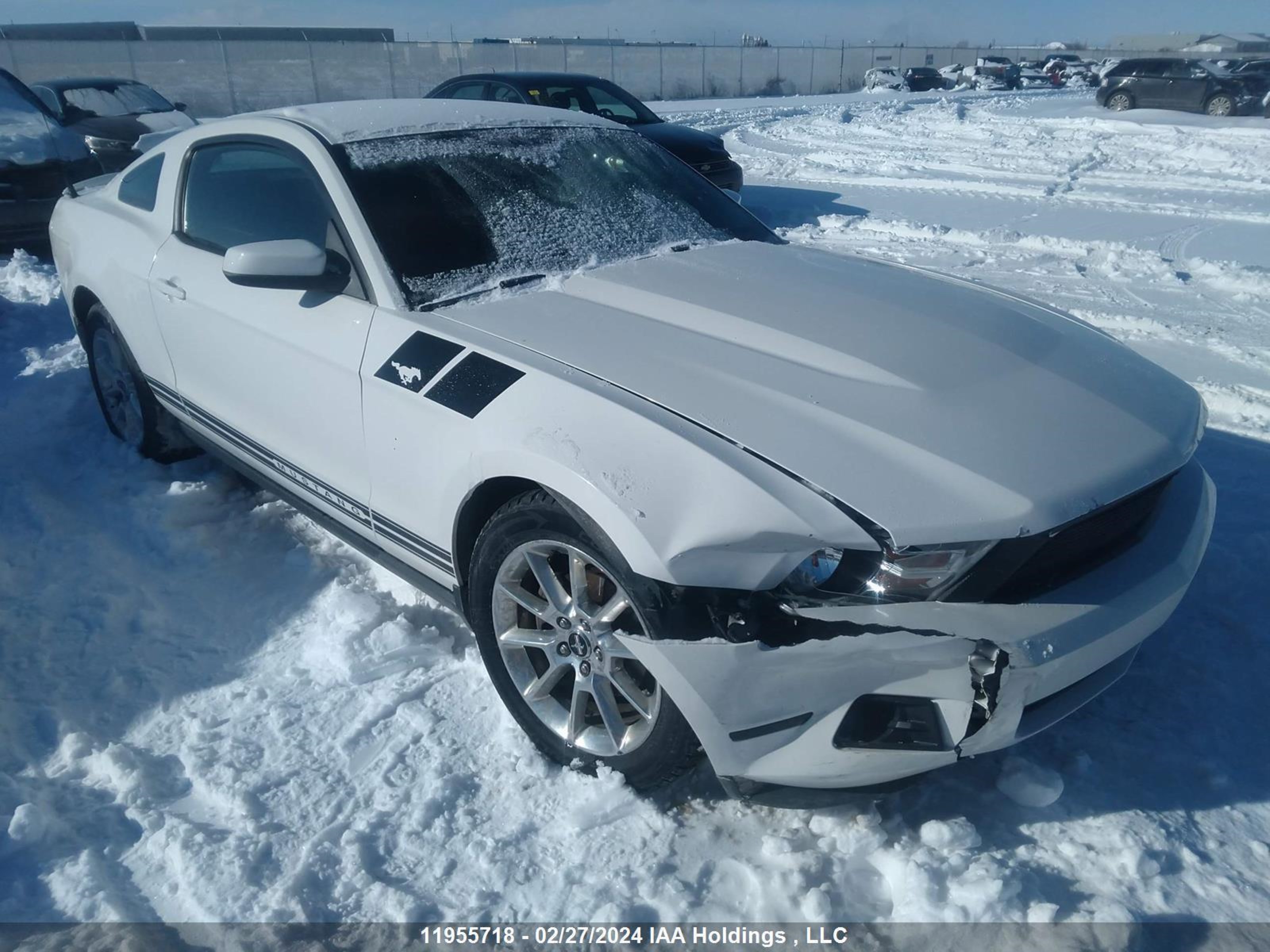 FORD MUSTANG 2010 1zvbp8an2a5166471