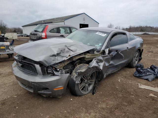 FORD MUSTANG 2010 1zvbp8an2a5169838