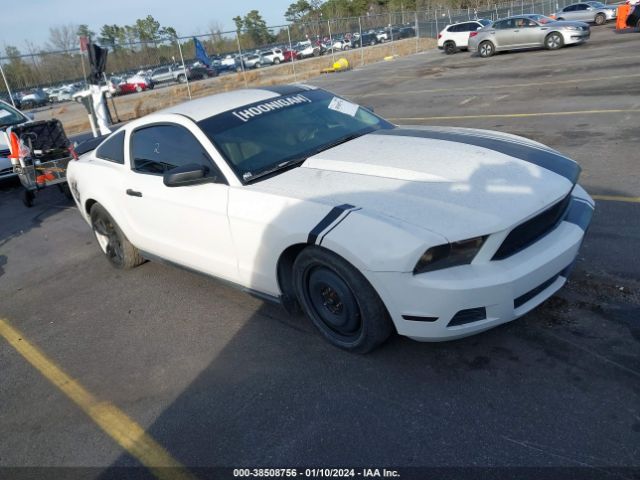 FORD MUSTANG 2010 1zvbp8an2a5170083