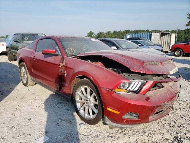 FORD MUSTANG 2010 1zvbp8an2a5170715