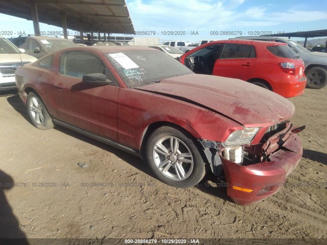 FORD MUSTANG 2010 1zvbp8an2a5172500