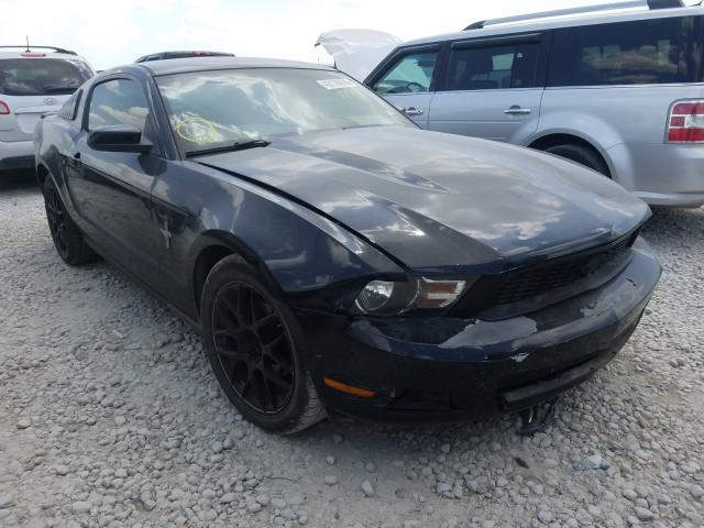 FORD MUSTANG 2010 1zvbp8an2a5175977