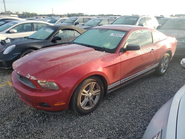 FORD MUSTANG 2010 1zvbp8an2a5180936