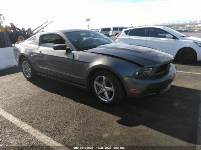 FORD MUSTANG 2010 1zvbp8an2a5181035