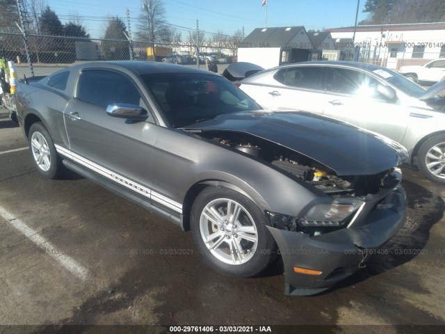 FORD MUSTANG 2010 1zvbp8an3a5101452