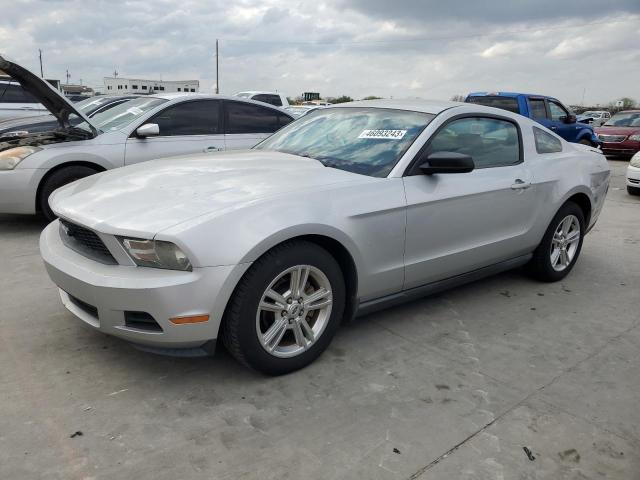 FORD MUSTANG 2010 1zvbp8an3a5104674