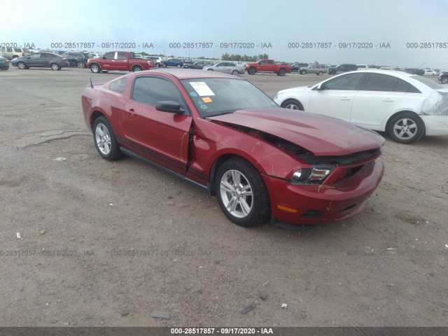 FORD MUSTANG 2010 1zvbp8an3a5104898