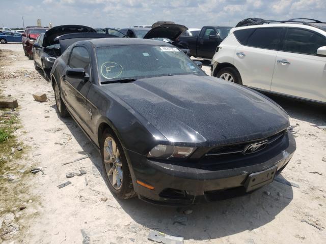 FORD MUSTANG 2010 1zvbp8an3a5105307