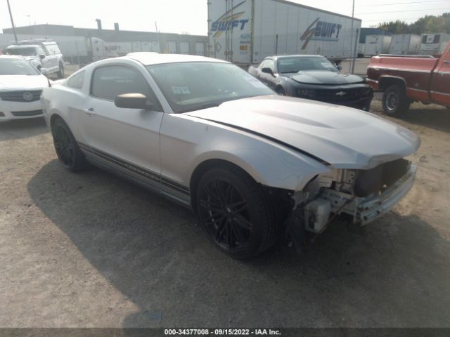 FORD MUSTANG 2010 1zvbp8an3a5108899