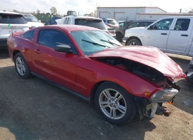 FORD MUSTANG 2010 1zvbp8an3a5111978