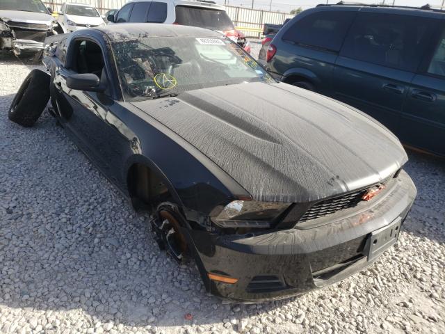 FORD MUSTANG 2010 1zvbp8an3a5112001