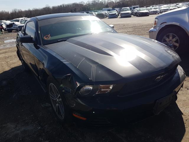 FORD MUSTANG 2010 1zvbp8an3a5113522