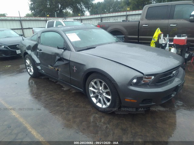 FORD MUSTANG 2010 1zvbp8an3a5114749