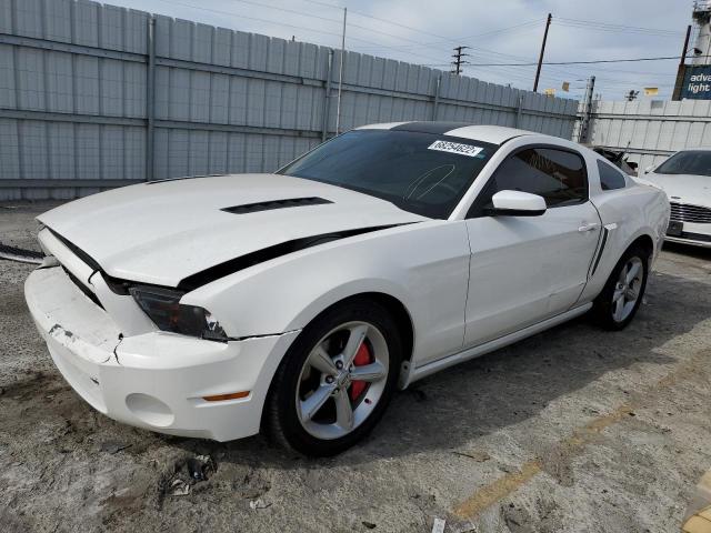 FORD MUSTANG 2010 1zvbp8an3a5117246