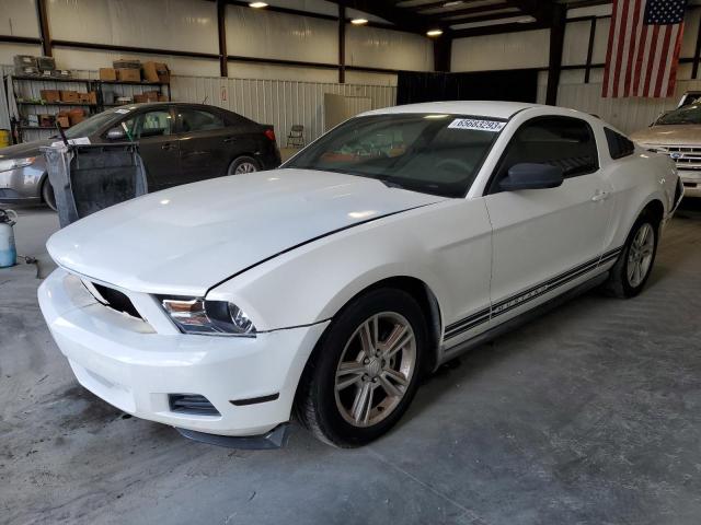 FORD MUSTANG 2010 1zvbp8an3a5117649