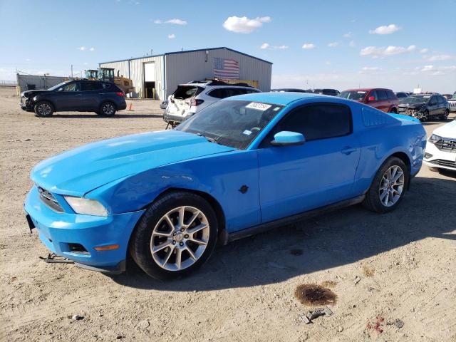 FORD MUSTANG 2010 1zvbp8an3a5118736