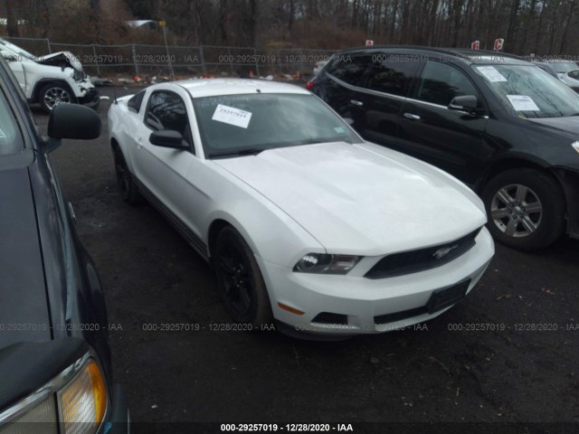 FORD MUSTANG 2010 1zvbp8an3a5125816