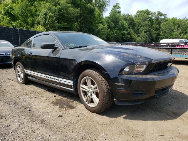 FORD MUSTANG 2010 1zvbp8an3a5126786