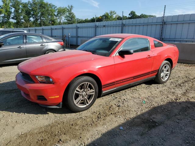 FORD MUSTANG 2010 1zvbp8an3a5129669