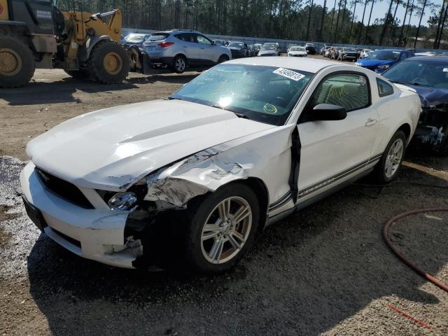 FORD MUSTANG 2010 1zvbp8an3a5131115