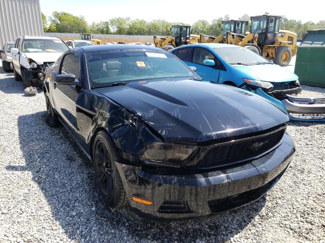 FORD MUSTANG 2010 1zvbp8an3a5132796