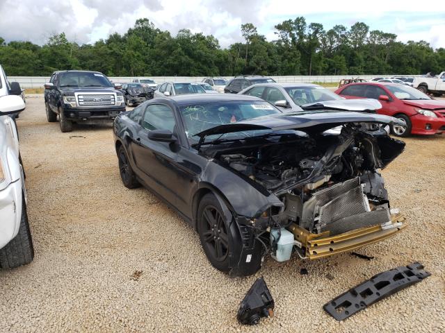 FORD MUSTANG 2010 1zvbp8an3a5133303