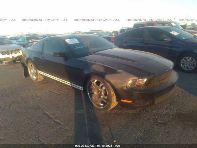 FORD MUSTANG 2010 1zvbp8an3a5134063