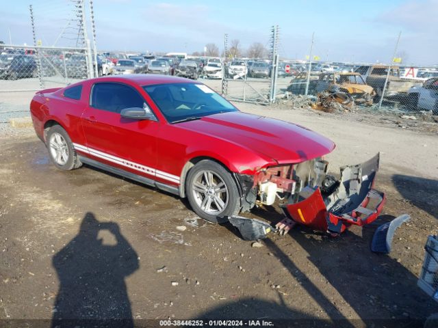 FORD MUSTANG 2010 1zvbp8an3a5135097