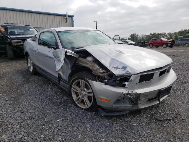 FORD MUSTANG 2010 1zvbp8an3a5137822