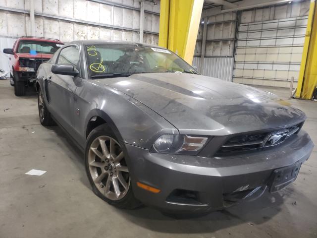 FORD MUSTANG 2010 1zvbp8an3a5138548