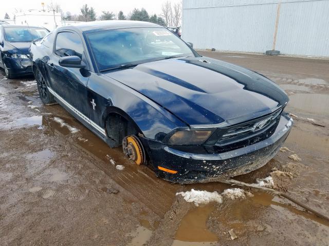 FORD MUSTANG 2010 1zvbp8an3a5141160