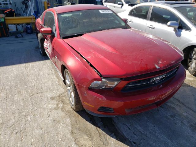 FORD MUSTANG 2010 1zvbp8an3a5141420