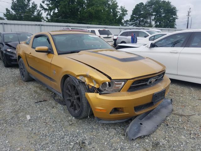 FORD MUSTANG 2010 1zvbp8an3a5141806