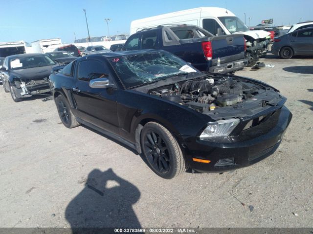 FORD MUSTANG 2010 1zvbp8an3a5144835