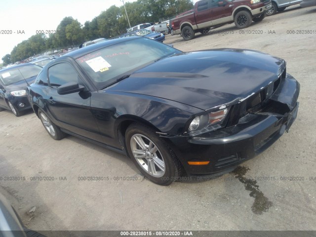 FORD MUSTANG 2010 1zvbp8an3a5145239