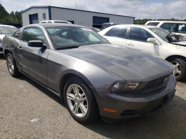 FORD MUSTANG 2010 1zvbp8an3a5145306