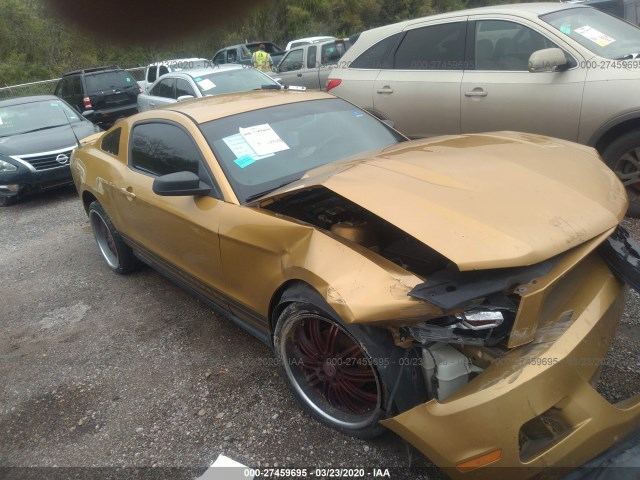 FORD MUSTANG 2010 1zvbp8an3a5148027