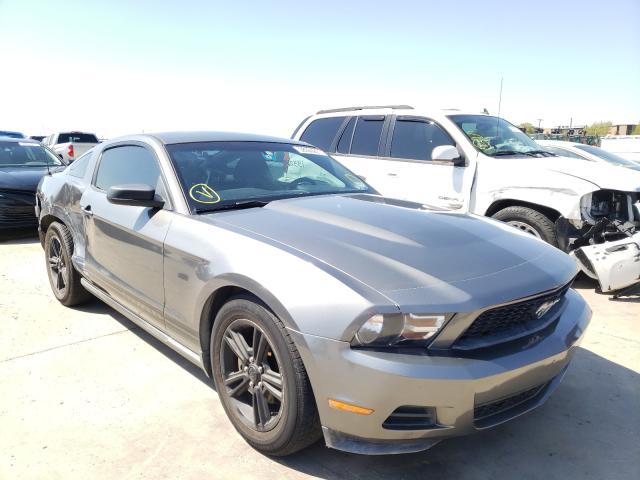 FORD MUSTANG 2010 1zvbp8an3a5151767