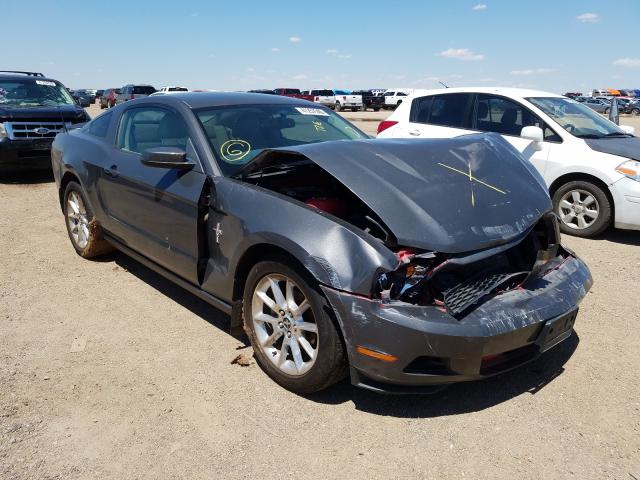 FORD MUSTANG 2010 1zvbp8an3a5151980