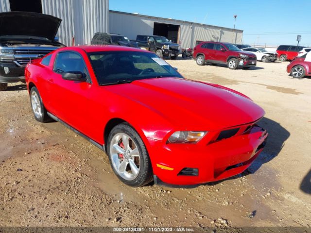 FORD MUSTANG 2010 1zvbp8an3a5152014